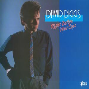 ดาวน์โหลดและฟังเพลง You Really Got Me พร้อมเนื้อเพลงจาก David diggs