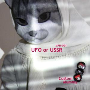 ดาวน์โหลดและฟังเพลง UFO or USSR พร้อมเนื้อเพลงจาก CustomMummy