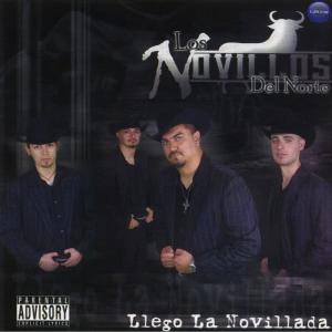 收聽Los Novillos Del Norte的500 Veces歌詞歌曲