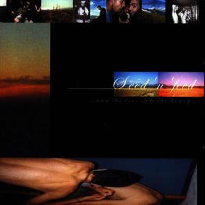 ดาวน์โหลดและฟังเพลง Won't Forget พร้อมเนื้อเพลงจาก Seed'n'feed