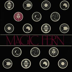 ดาวน์โหลดและฟังเพลง Cloudy Day พร้อมเนื้อเพลงจาก Magic Fern