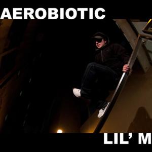 ดาวน์โหลดและฟังเพลง Lil' M (Kultrun Remix) พร้อมเนื้อเพลงจาก Aerobiotic