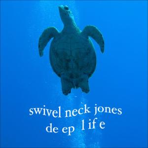 ดาวน์โหลดและฟังเพลง Grave Yard Light House พร้อมเนื้อเพลงจาก Swivel Neck Jones