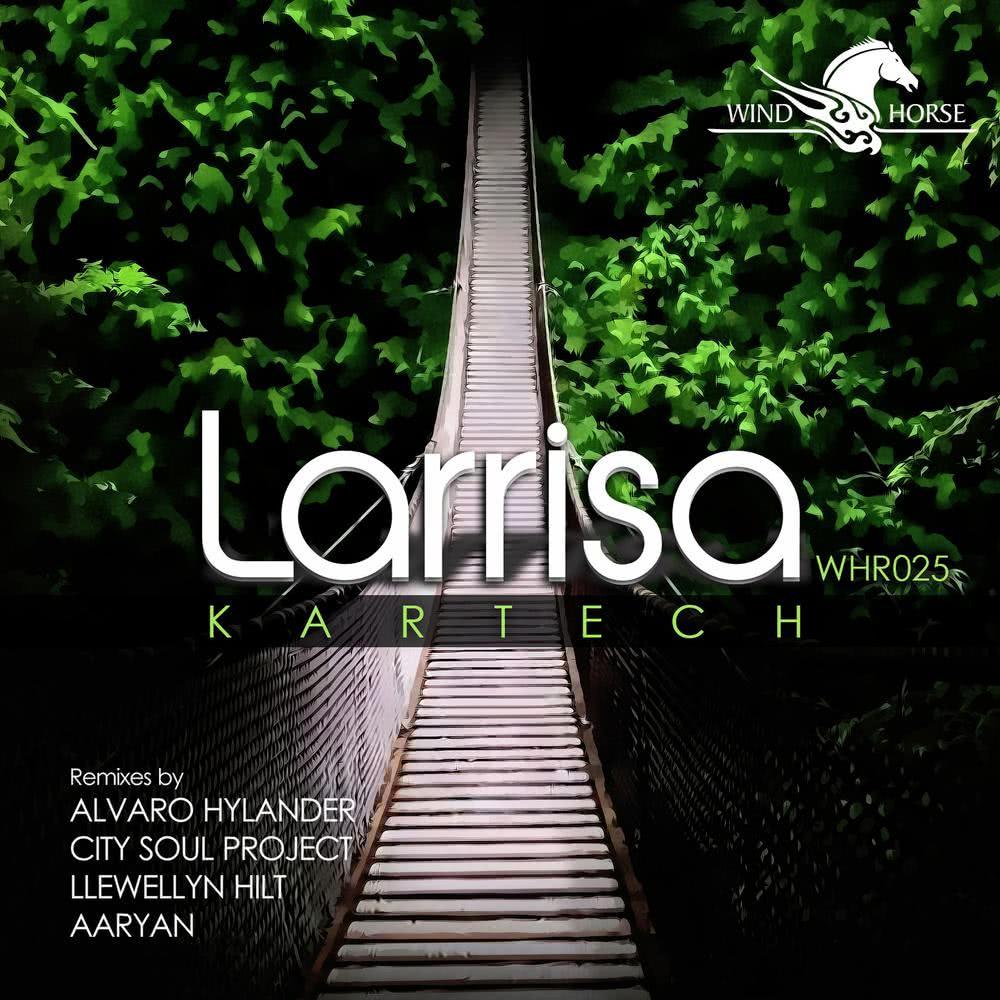 Larrisa (Aaryan Remix)