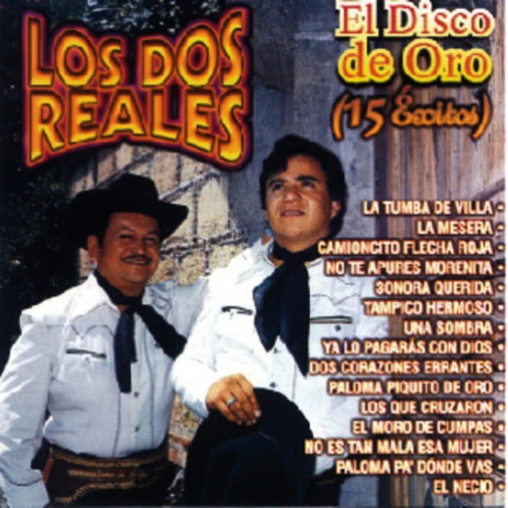 El Necio