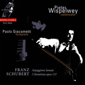 收聽Pieter Wispelwey的Sonatina in A Minor for Cello and Piano, D 385 Op. 137 No. 2: Allegro歌詞歌曲