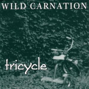 收聽Wild Carnation的Trailer Song歌詞歌曲
