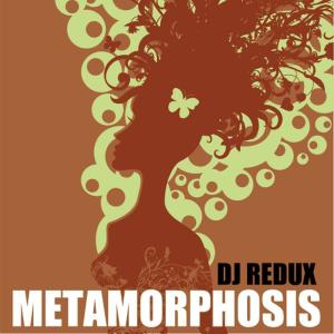 ดาวน์โหลดและฟังเพลง Trippy (Dance Remix|Explicit) พร้อมเนื้อเพลงจาก DJ Redux