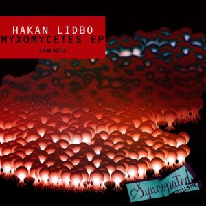 ดาวน์โหลดและฟังเพลง Mikrokosmos (Original) พร้อมเนื้อเพลงจาก Hakan Libdo