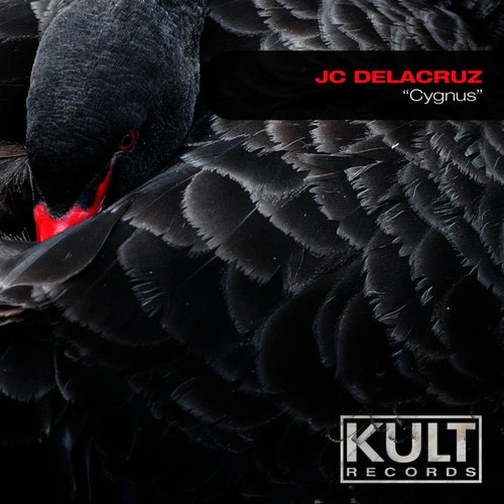Cygnus(Jc Halley Dub Mix)