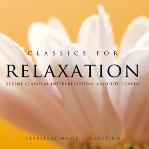 ดาวน์โหลดและฟังเพลง Adagio Sostenuto in G major พร้อมเนื้อเพลงจาก Global Journey