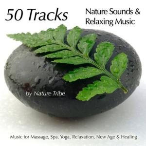 Nature Tribe的專輯50 Tracks:  Nature Sounds & Relaxing Music For Massage, Spa, Yoga, Relaxation, New Age & Healing
