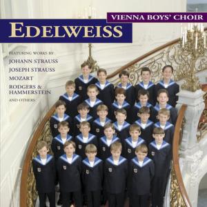 收聽Vienna Boys Choir的G'Schichten Aus Dem Winerwald, Walzer/Tales From The Vienna Woods, Waltz歌詞歌曲