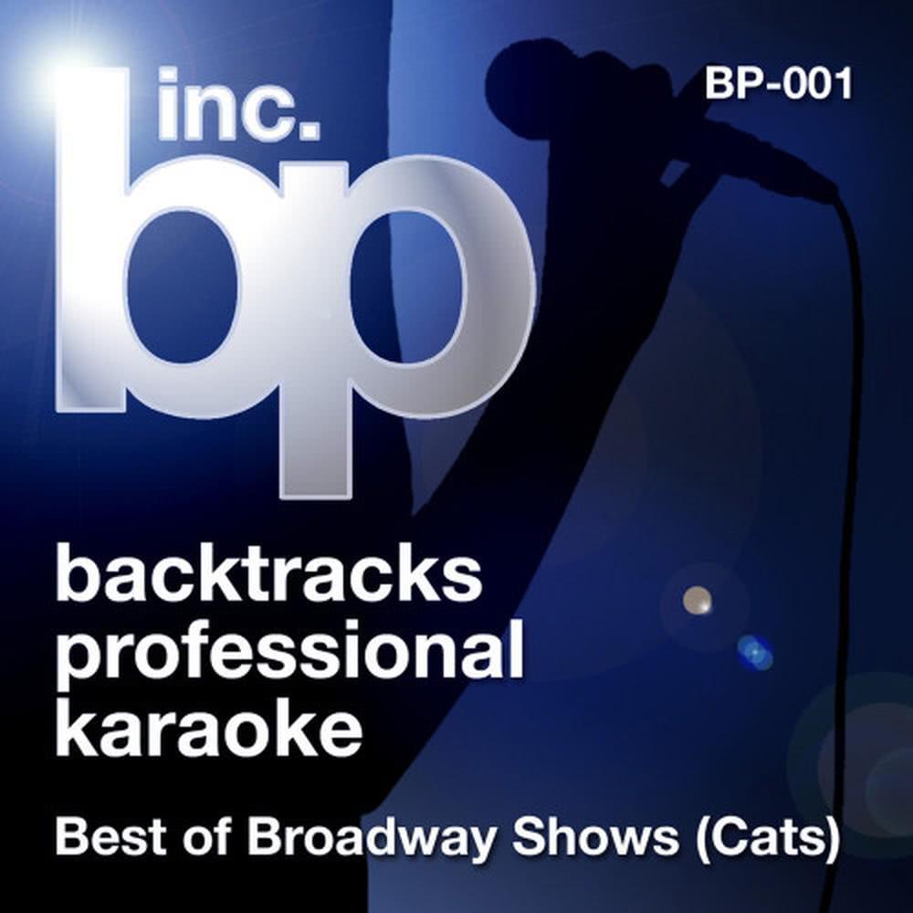 Rum Tum Tugger (Karaoke Instrumental Track)