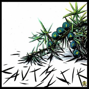 收聽Lautmusik的Wallflower歌詞歌曲