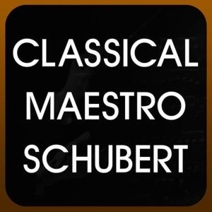 收聽Classical Maestro Schubert的Piano Sonata No. 14 in A Minor, D. 784, Op. 143: I. Allegro giusto歌詞歌曲