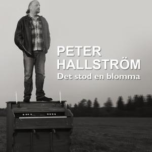 Peter Hallström的專輯Det stod en blomma