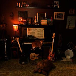 ดาวน์โหลดและฟังเพลง Don't Want to Know พร้อมเนื้อเพลงจาก Stereotyperider