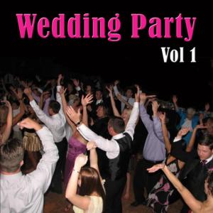 อัลบัม Wedding Party, Vol 1 ศิลปิน Various Artists