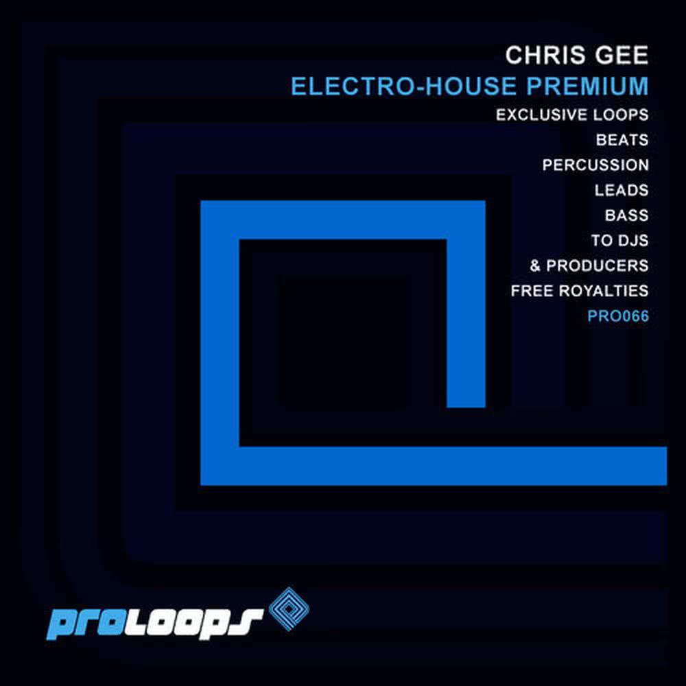 Electro-House Premium Secret 2 128(Tool 20)