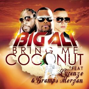 อัลบัม Bring Me Coconut (Radio Edit) ศิลปิน Big Ali