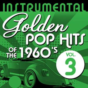 ดาวน์โหลดและฟังเพลง Never Thought (That I Could Love) (Instrumental Version) พร้อมเนื้อเพลงจาก Hit Co. Masters