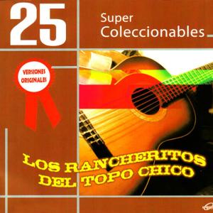 ดาวน์โหลดและฟังเพลง Imposible Olvidarte พร้อมเนื้อเพลงจาก Los Rancheritos Del Topo Chico