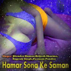 Dengarkan Na Ayle Raja Ji lagu dari Brijesh Sharma dengan lirik