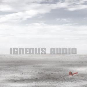 收聽Igneous Audio的It's A Long Road歌詞歌曲