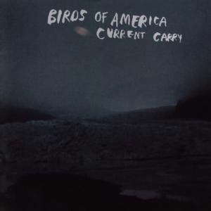 收聽The Birds of America的Son of a Man歌詞歌曲