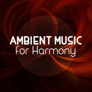 收聽Ambient的Singing Wire歌詞歌曲