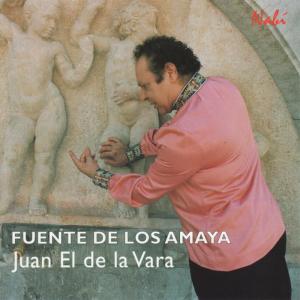 ดาวน์โหลดและฟังเพลง Y Me La Niegue Su Gente พร้อมเนื้อเพลงจาก Juan El de la Vera