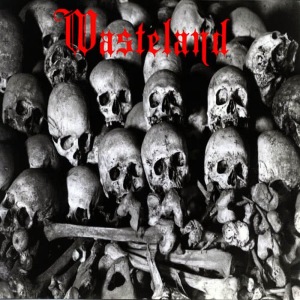 ดาวน์โหลดและฟังเพลง The Package พร้อมเนื้อเพลงจาก Wasteland