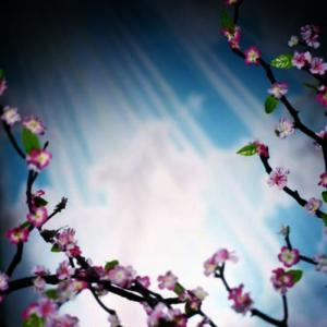 ดาวน์โหลดและฟังเพลง Another Heaven Song พร้อมเนื้อเพลงจาก The Gospel Messengers