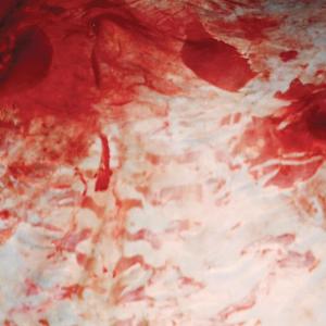 收聽Salem的Baby Ratta歌詞歌曲