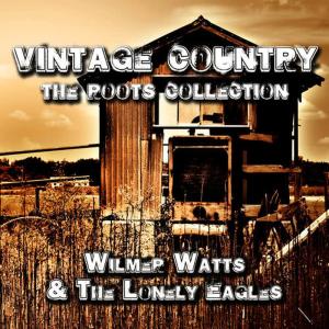收聽Willmer Watts & The Lonely Eagles的Say Darling Won't You Love Me歌詞歌曲