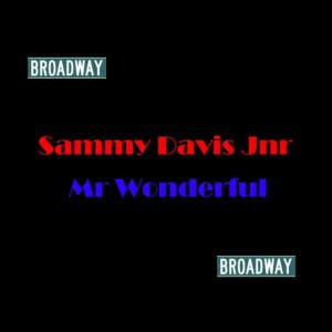 收聽Sammy Davis的Mr Wonderful歌詞歌曲