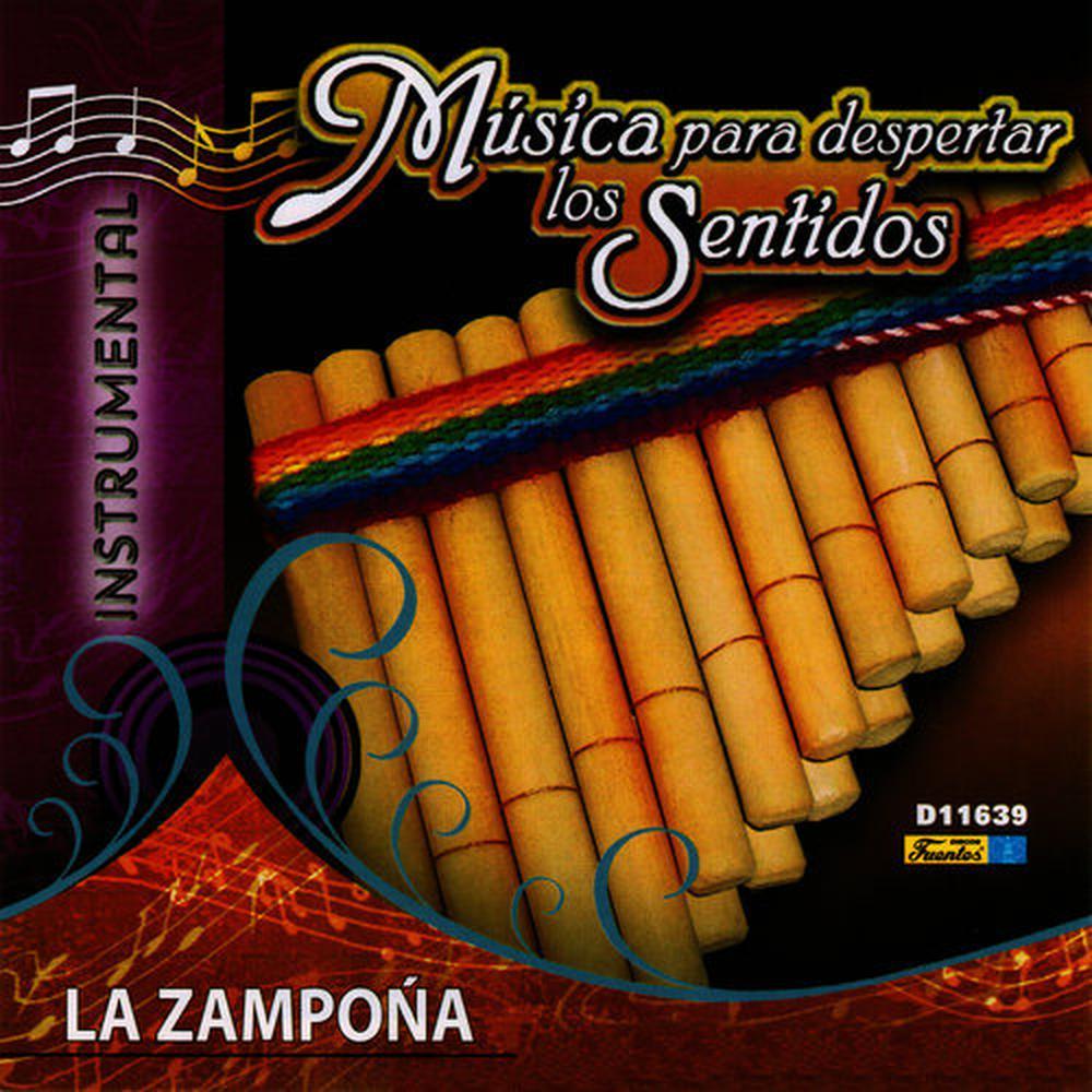Sabes una Cosa(Instrumental) (纯音乐)