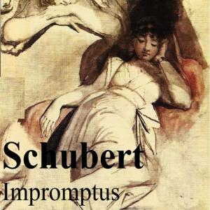 อัลบัม Schubert - Impromptus ศิลปิน Silvia Capova