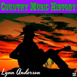 ดาวน์โหลดและฟังเพลง Silver Threads and Golden Needles พร้อมเนื้อเพลงจาก Lynn Anderson