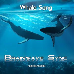 ดาวน์โหลดและฟังเพลง Whale Song พร้อมเนื้อเพลงจาก Brainwave
