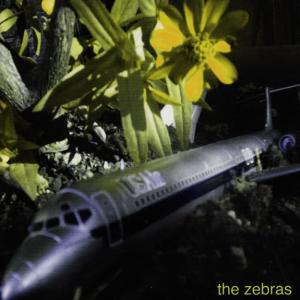 Dengarkan lagu Look Confident nyanyian The Zebras dengan lirik