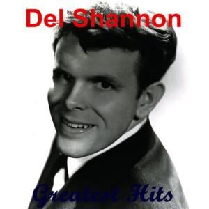 收聽Del Shannon的Hey! Little Girl歌詞歌曲