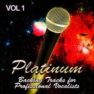 收聽The Backing Track Pioneers的Purple Rain (Instrumental)歌詞歌曲