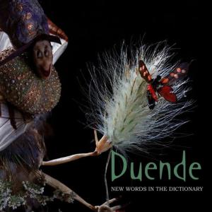 收聽Duende的New Words In The Dictionary歌詞歌曲