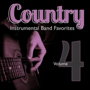 收聽Hit Crew Masters的The Bride (Instrumental Version)歌詞歌曲