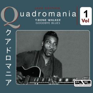 ดาวน์โหลดและฟังเพลง She Had To Let Me Down พร้อมเนื้อเพลงจาก T-Bone Walker