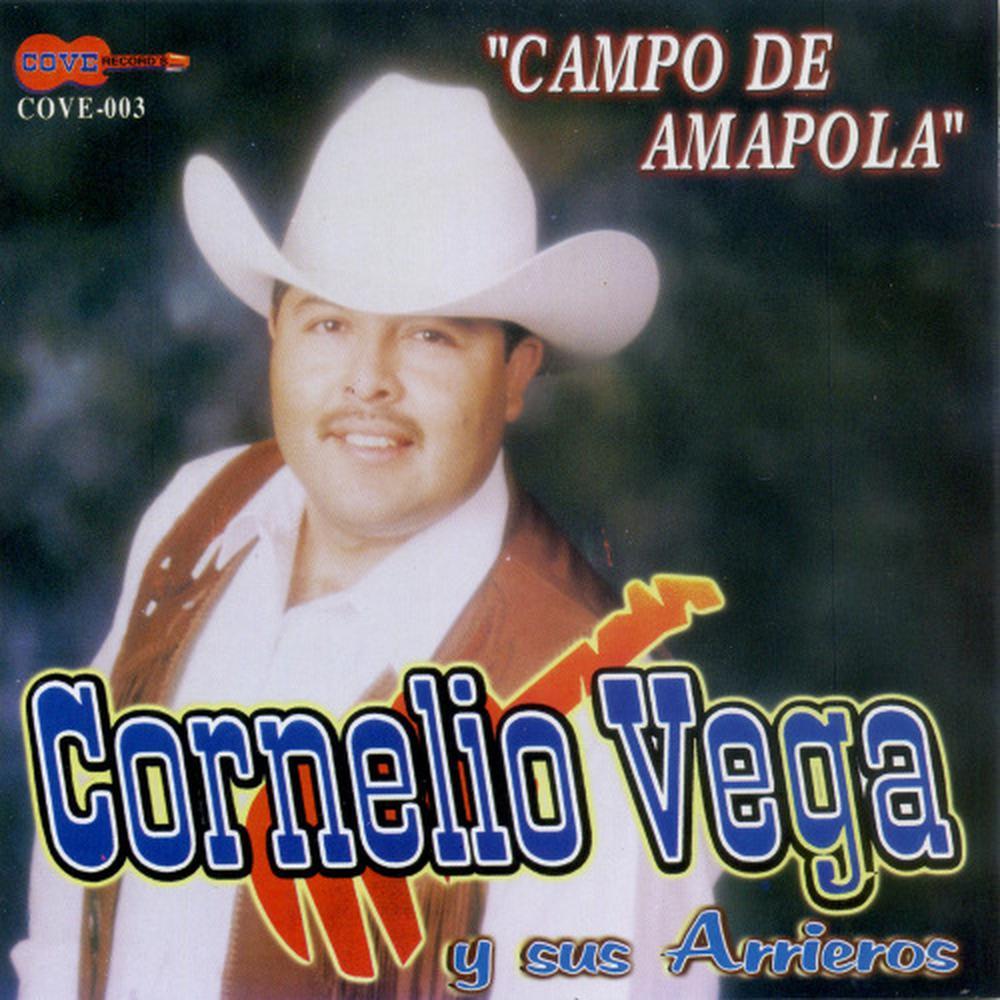 Campo de Amapolas