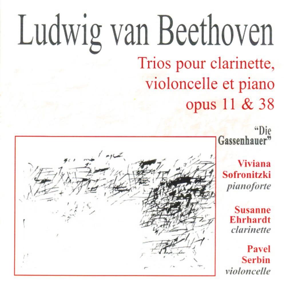 Trio Op. 38: VI. Andante con moto alla Marcia - Presto