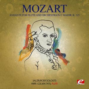 อัลบัม Mozart: Andante for Flute and Orchestra in C Major, K. 315 (Digitally Remastered) ศิลปิน Arife Gülsen Tatu